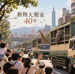台北動物園「世紀大搬家」滿40年！20輛動物專車穿越台北　數十萬人夾道歡送